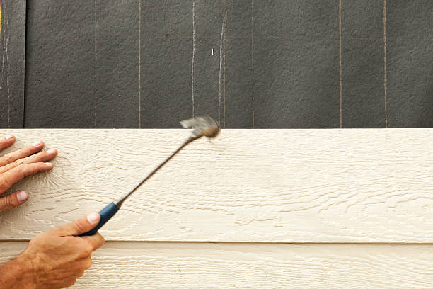 Best Steel Siding Installation  in Nashville, GA